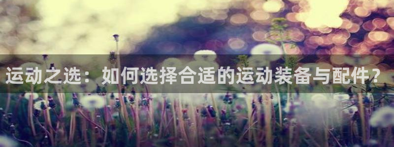 征途国际招商：运动之选：如何选择合适的运动装备与配件