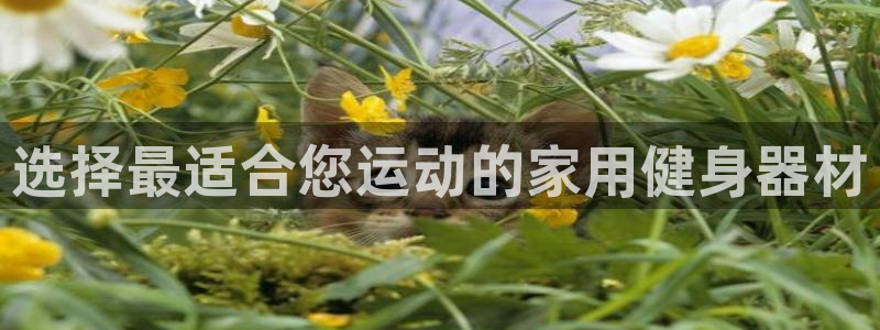 征途国际娱乐首页官网下载：选择最适合您运动的家用健身