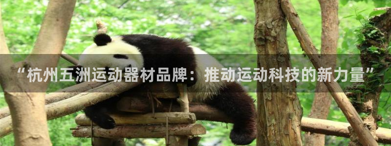 征途国际招商电话号码：“杭州五洲运动器材品牌：推动运