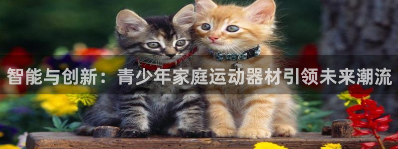 征途国际神州：智能与创新：青少年家庭运动器材引领未来