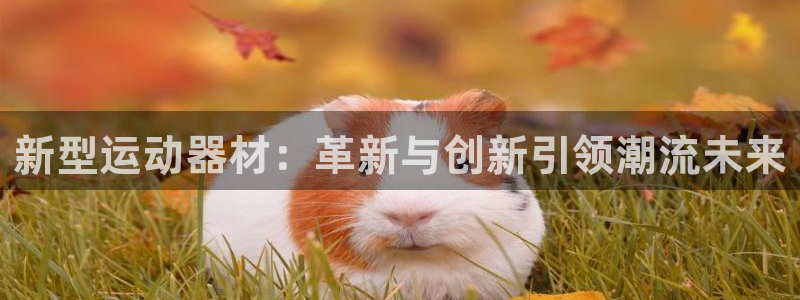 征途国际平台注册要钱吗安全吗：新型运动器材：革新与创