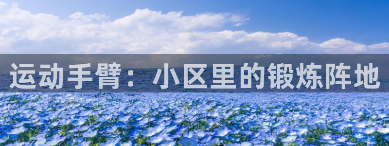 征途国际注册：运动手臂：小区里的锻炼阵地