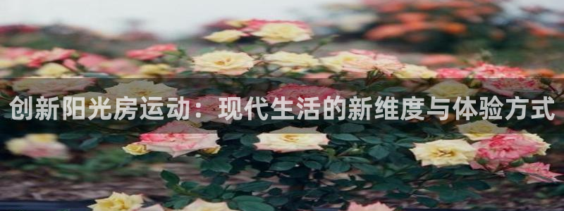 征途国际娱乐下载：创新阳光房运动：现代生活的新维度与
