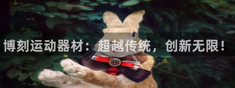征途国际注册：博刻运动器材：超越传统，创新无限！
