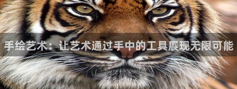征途国际集团官网网址：手绘艺术：让艺术通过手中的工具