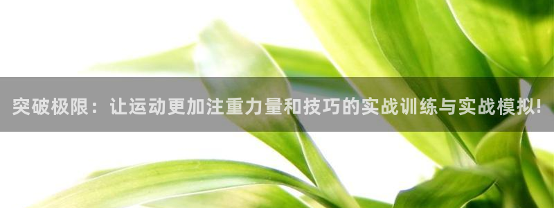 征途国际集团logo：突破极限：让运动更加注重力量和技巧的实