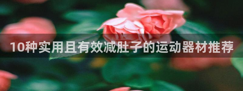 征途国际集团：10种实用且有效减肚子的运动器材推荐