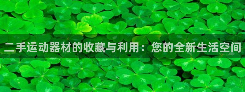 海南征途国际发展怎么样：二手运动器材的收藏与利用：您的全新生