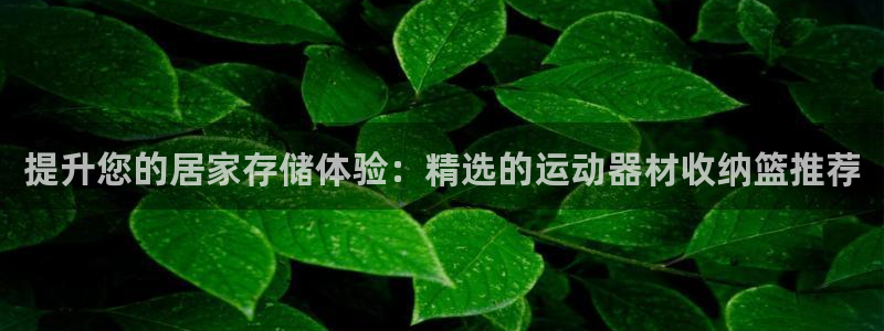 征途国际招商电话号码查询