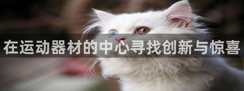 征途国际平台假的吗是真的吗吗：在运动器材的中心寻找创