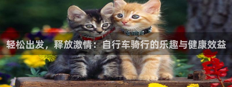 征途国际是干嘛的公司：轻松出发，释放激情：自行车骑行