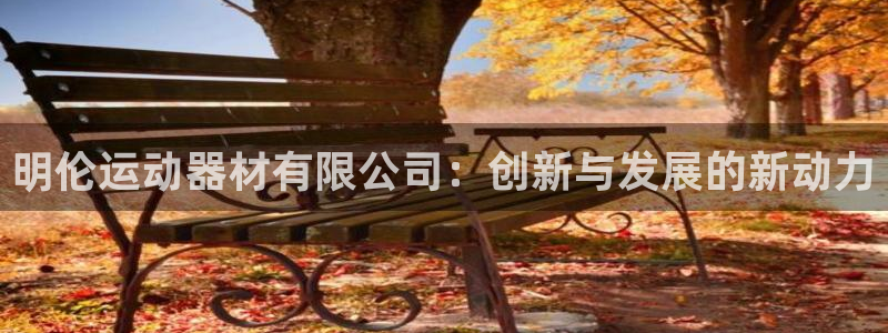 征途国际娱乐首页网站大全：明伦运动器材有限公司：创新与发展的