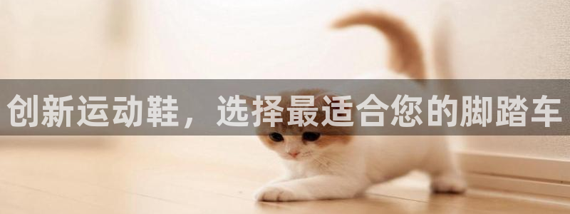 征途国际开户：创新运动鞋，选择最适合您的脚踏车