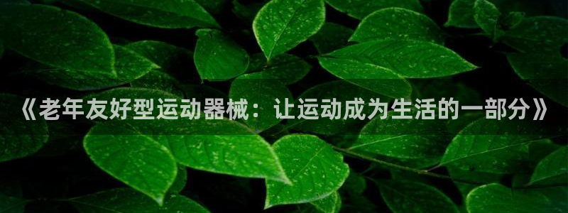 征途国际官网：《老年友好型运动器械：让运动成为生活的一部分》
