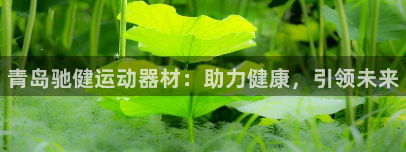 海南征途国际：青岛驰健运动器材：助力健康，引领未来