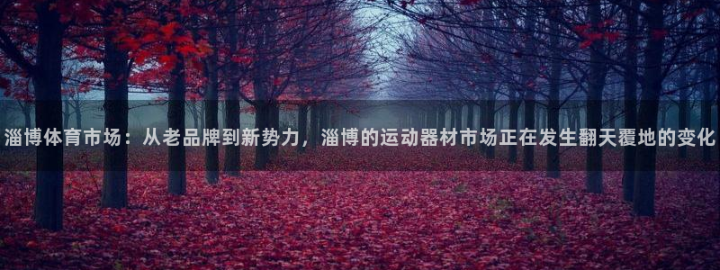 征途国际科技：淄博体育市场：从老品牌到新势力，淄博的运动器材