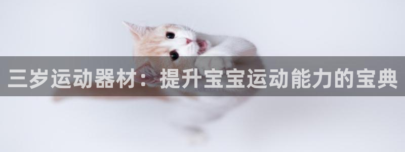 征途国际招商电话号码是多少