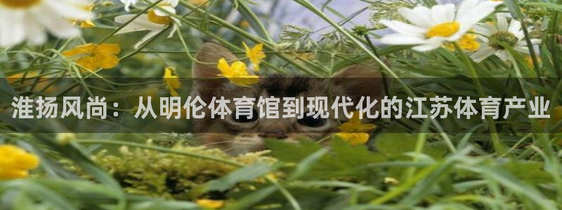 征途国际平台注册：淮扬风尚：从明伦体育馆到现代化的江苏体育产