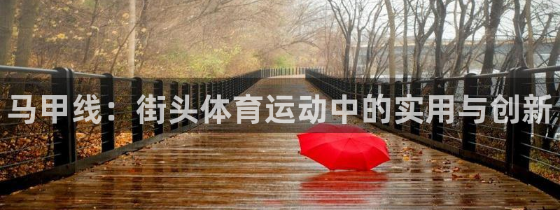 征途国际注册：马甲线：街头体育运动中的实用与创新